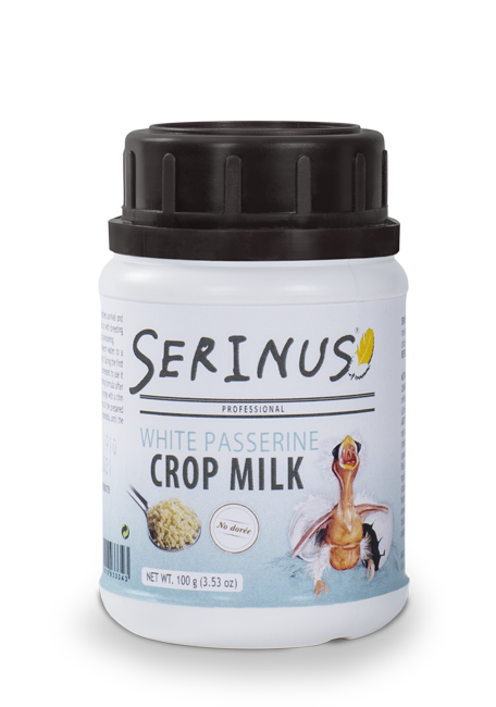 White passerine Crop milk Serinus