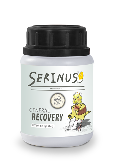 Serinus general recovery