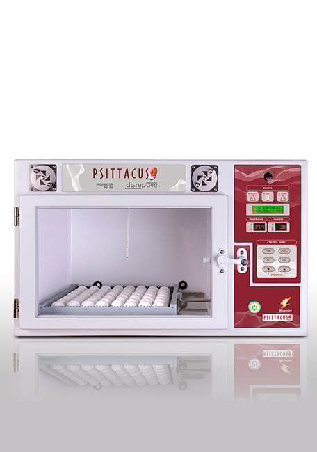 incubadora disruptive