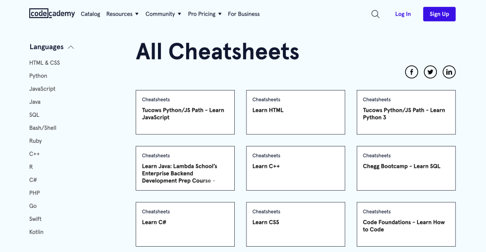 Codecademy features