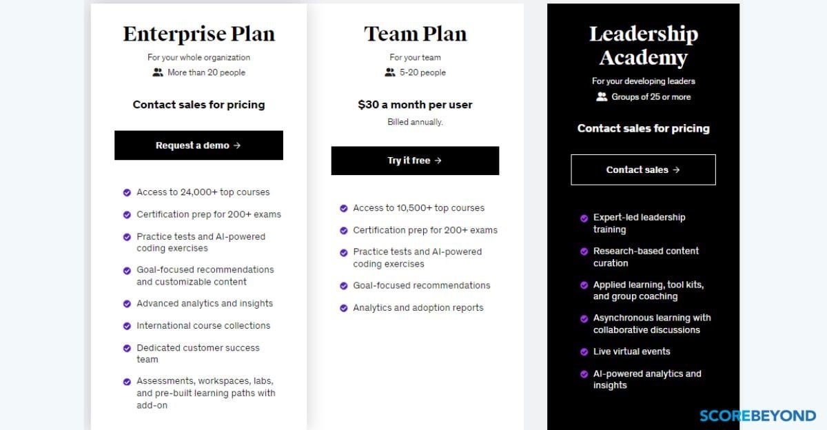 Udemy Business pricing