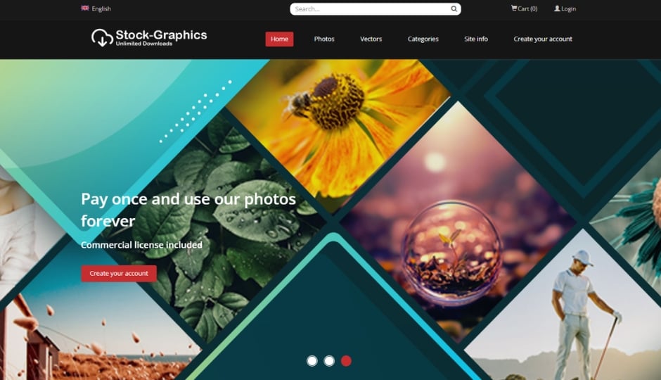 Stock Graphics dashboard interface showing categorized high-resolution stock photos and scalable vector illustration library for commercial use