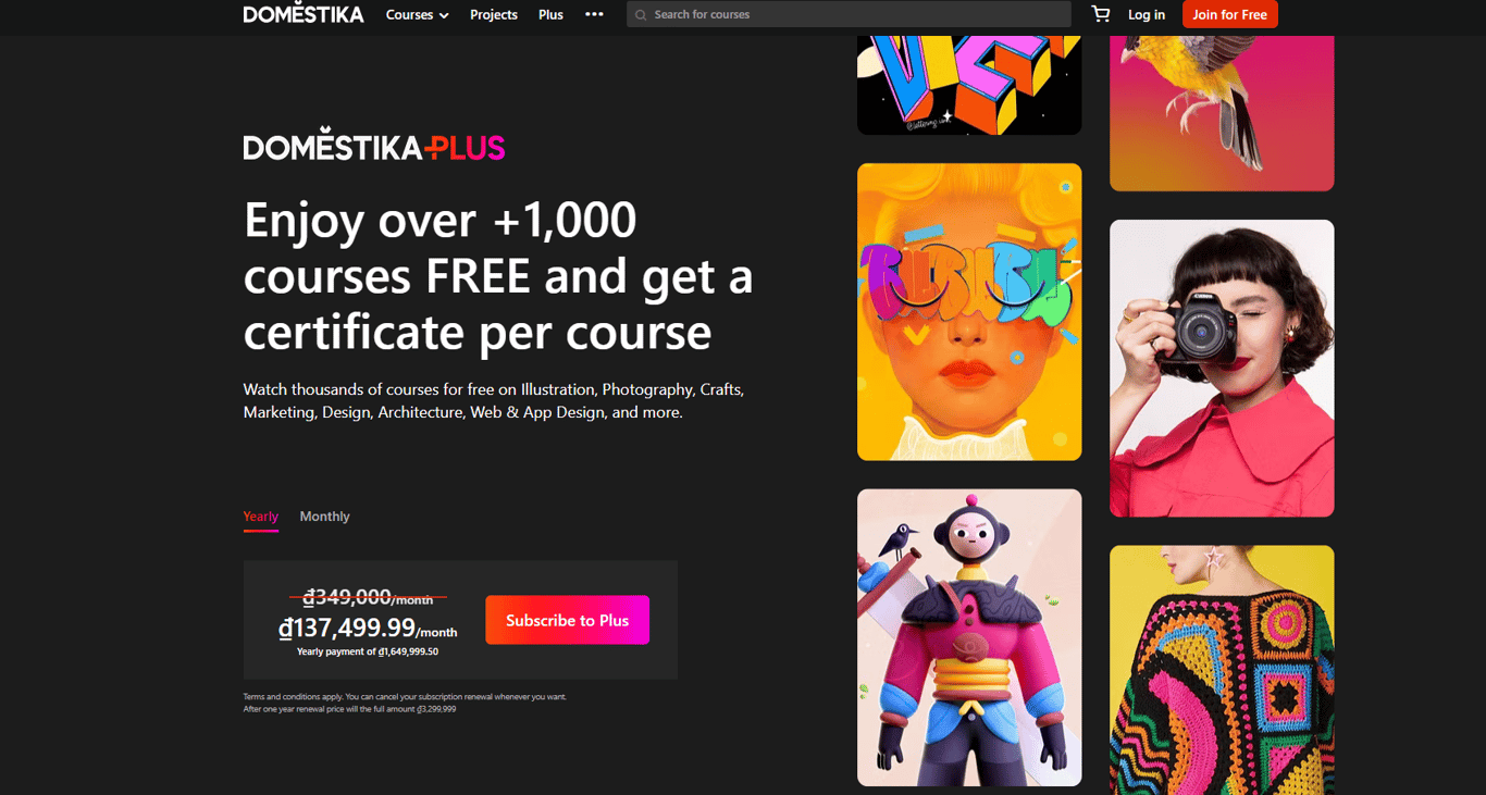 domestika-plus-enterprise-creative-suite-multimedia-training-terminal