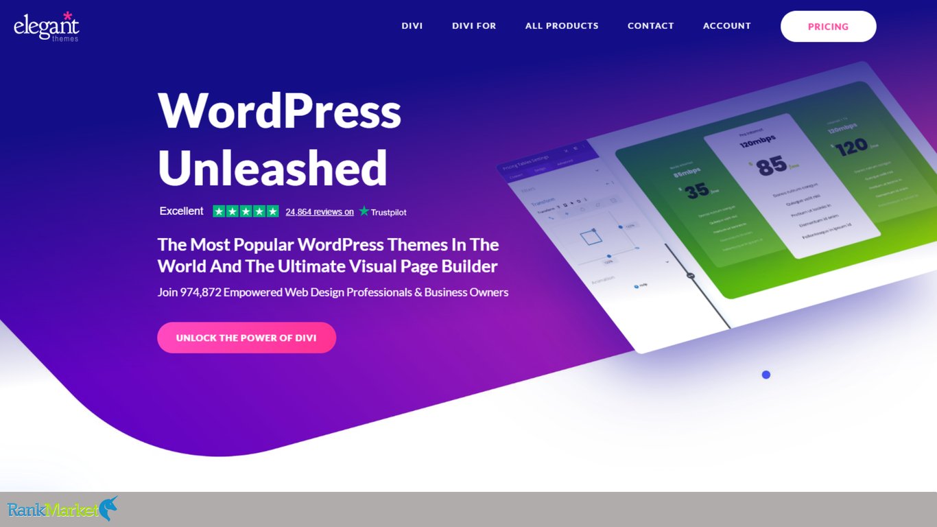 Divi-Theme-Visual-Builder