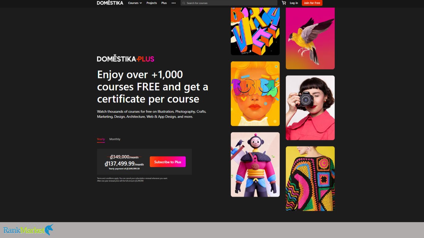 Domestika-Plus-Homepage-Hero-Banner-Creative-Design-And-Illustration-Courses