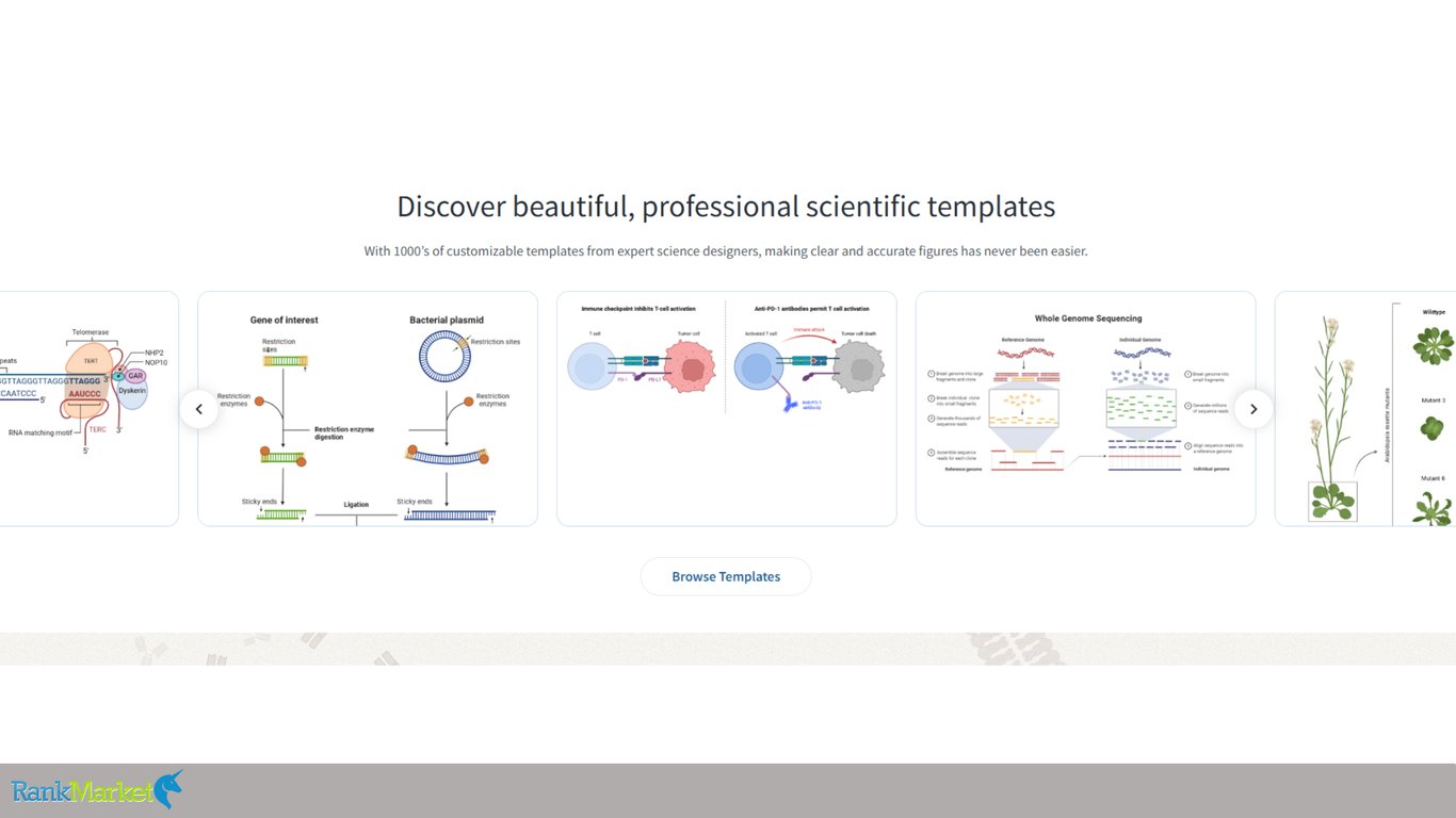 Biorender-Customizable-Scientific-Templates-Carousel-Including-Whole-Genome-Sequencing