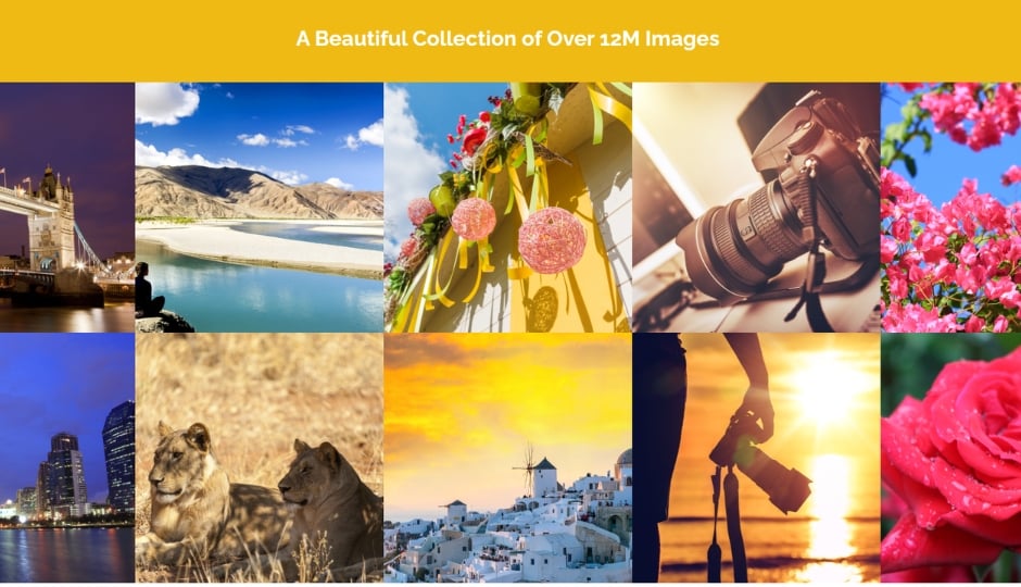 Marketing team selecting high-quality royalty-free stock images from UnlimPhotos for website design and digital advertising campaigns