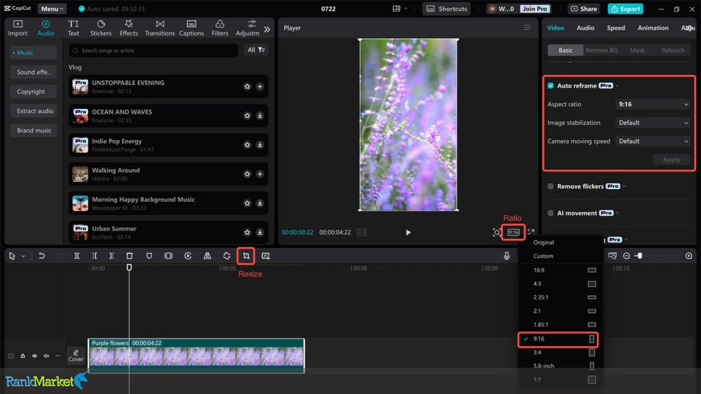 Capcut Pro