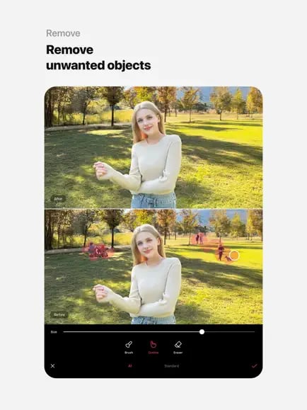 Epik-remove-background-object