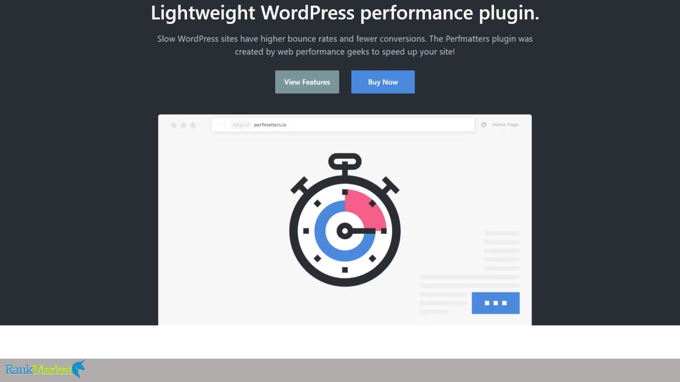 Perfmatters-Homepage-Plugin-Speed-Optimization-Wordpress-Website
