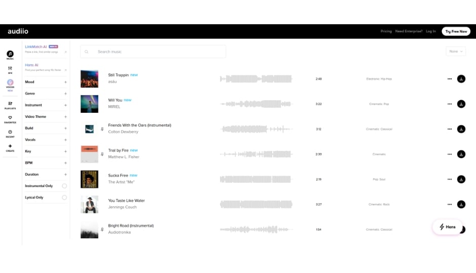 Audiio Pro music library dashboard with categorized playlists, advanced BPM filters, and user-friendly navigation interface