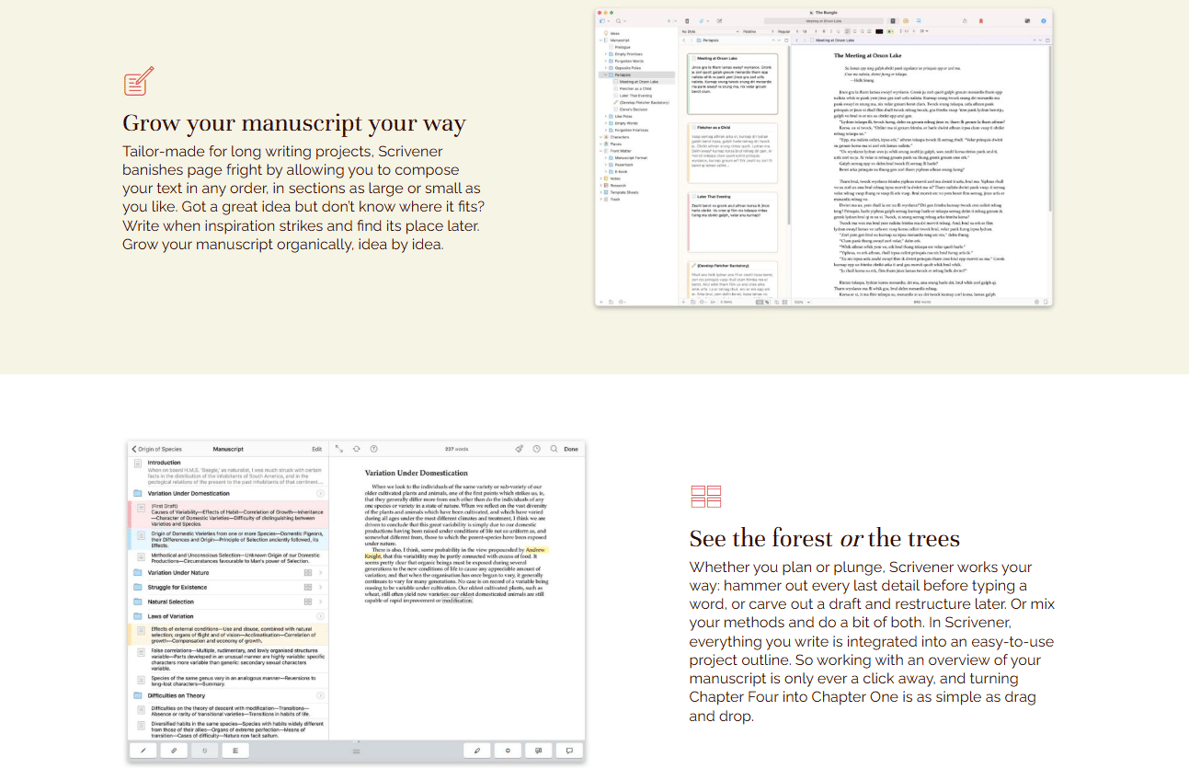 Text-editor-splits-highlighting-custom-color-coded-label-folders-and-word-count-trackers