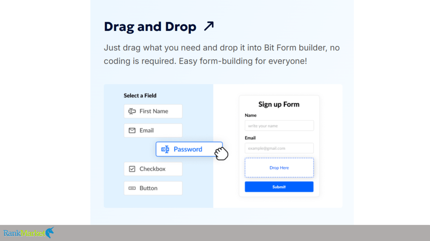 Bitform-Drag-And-Drop-Builder