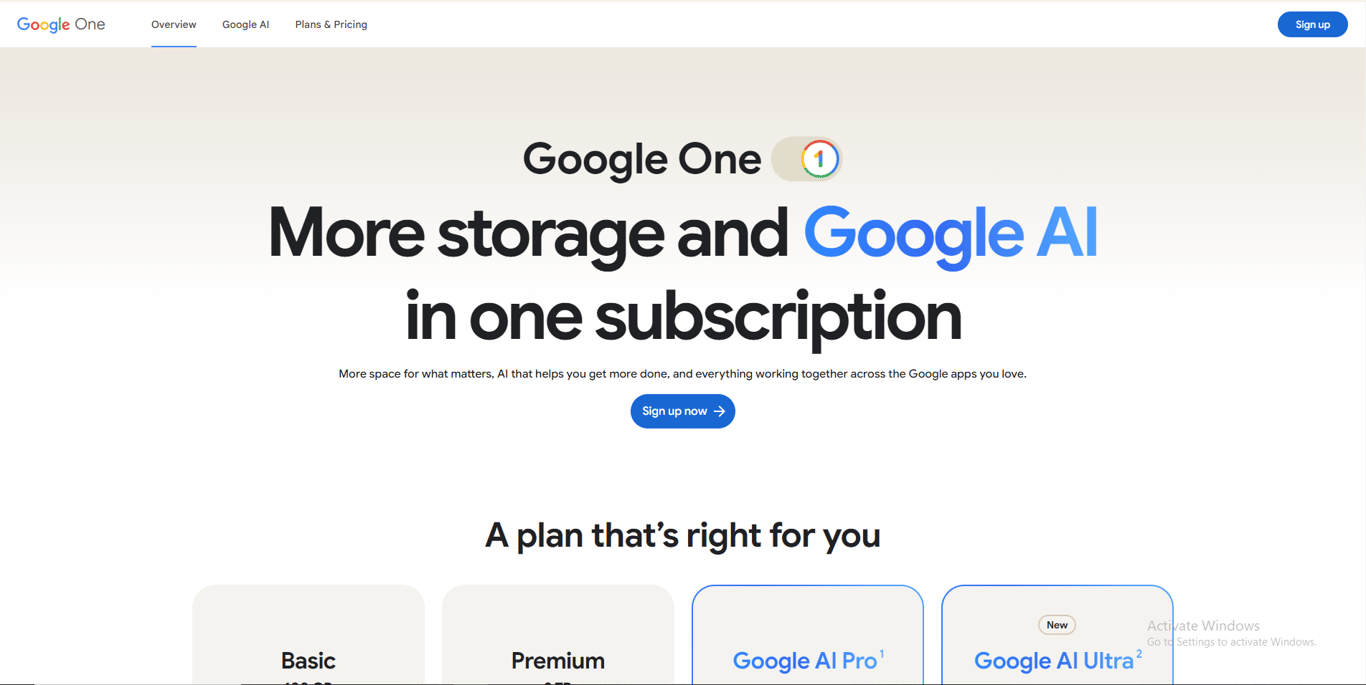 Google One homepage