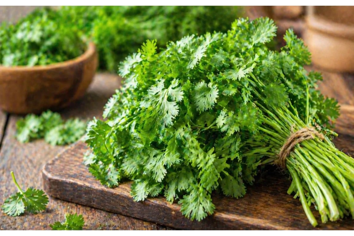 Manfaat Daun Ketumbar untuk Kesehatan: Menjaga Gula Darah, Kolesterol, dan Daya Tahan Tubuh