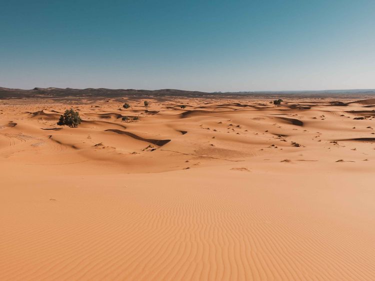 أرض المحشر في القرآن والحديث: الوصف حتى الأصناف التي تنال الظلال