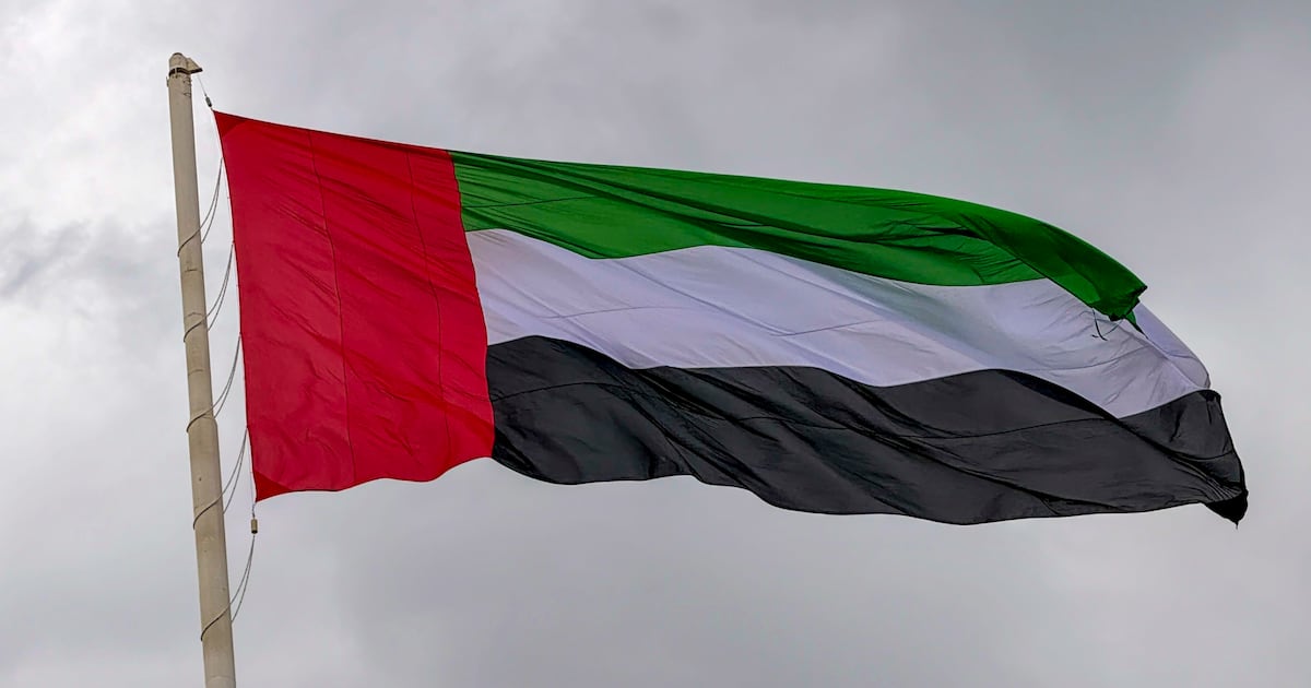 ОАЭ перехватили иранские ракеты и дроны