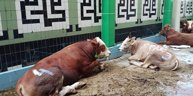 Sheria ya kutoa sadaka katika Uislamu: Maelezo baada ya kauli ya Bahlil