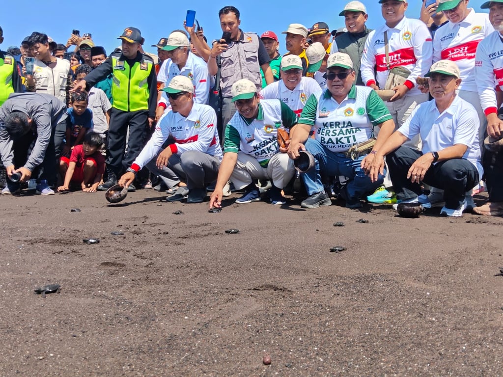 MUI-LDII Jatim Tanam 1.000 Mangrove dan Lepas 50 Tukik di Banyuwangi