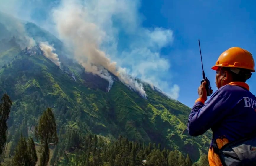 Forêt à Bromo en feu, le tourisme et le Jazz Gunung continuent normalement