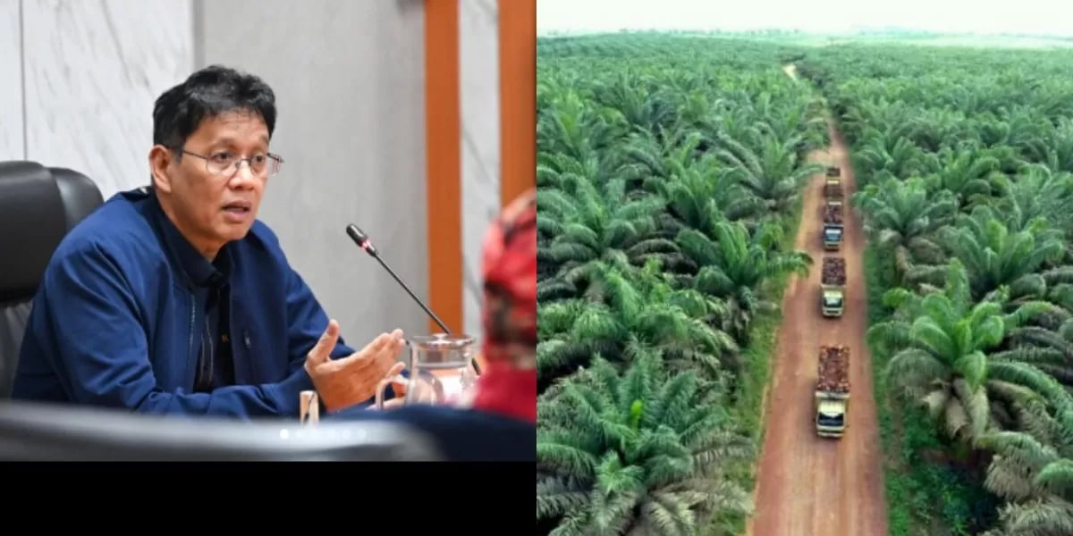 Prabowo Calls Out Under Invoicing, Finance Ministry Special Team Probes Alleged Palm Oil Export Manipulation