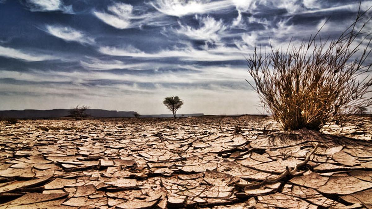 BMKG and BRIN Warn of Potential Strong El Nino, Predict Longer Dry Season