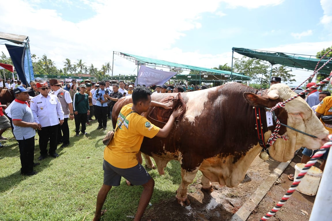 Banyuwangi Holds 2026 Livestock Contest and Market Ahead of Eid al-Adha