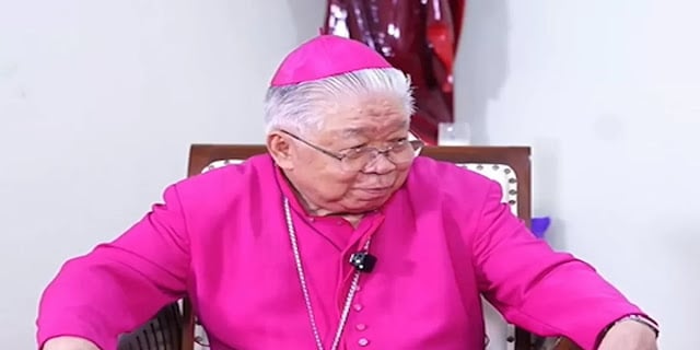 Arxiyepiskop Merauke "Cho‘chqa bazmi" filmidan tuhmat qilinganini his qilmoqda, uni targ‘ibotga to‘la deydi