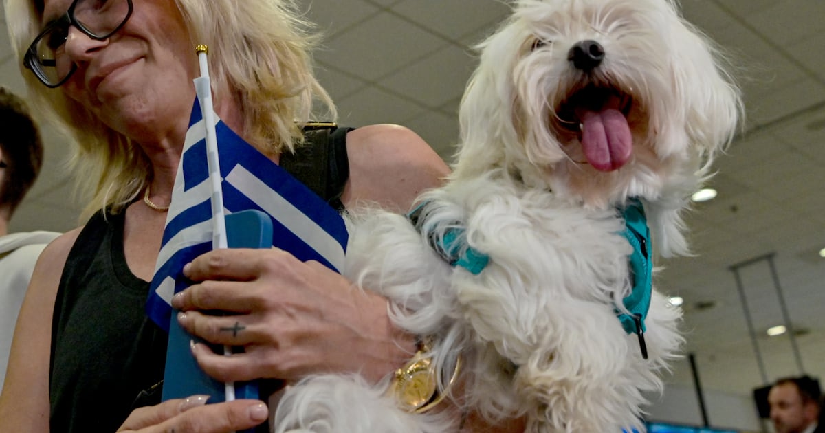 Hewan Peliharaan Juga Keluarga: Penerbangan UAE-Yunani Bawa Pulang 101 Orang dan 45 Hewan