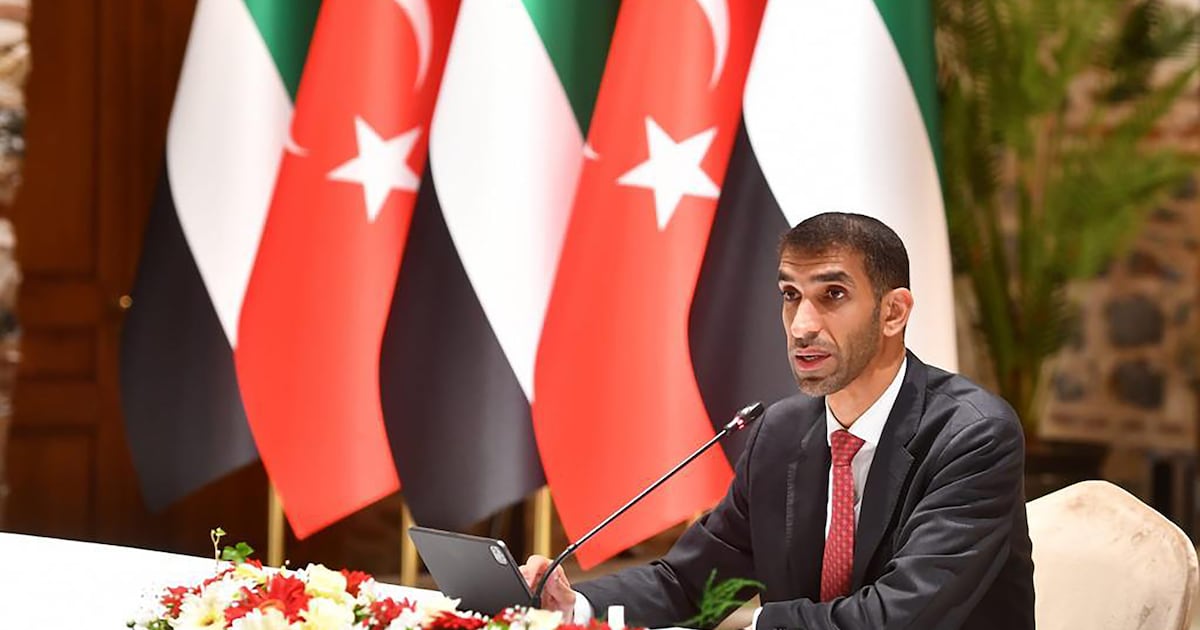 Размышления о двух годах экономического партнерства ОАЭ и Турции: путь к росту, иншаллах