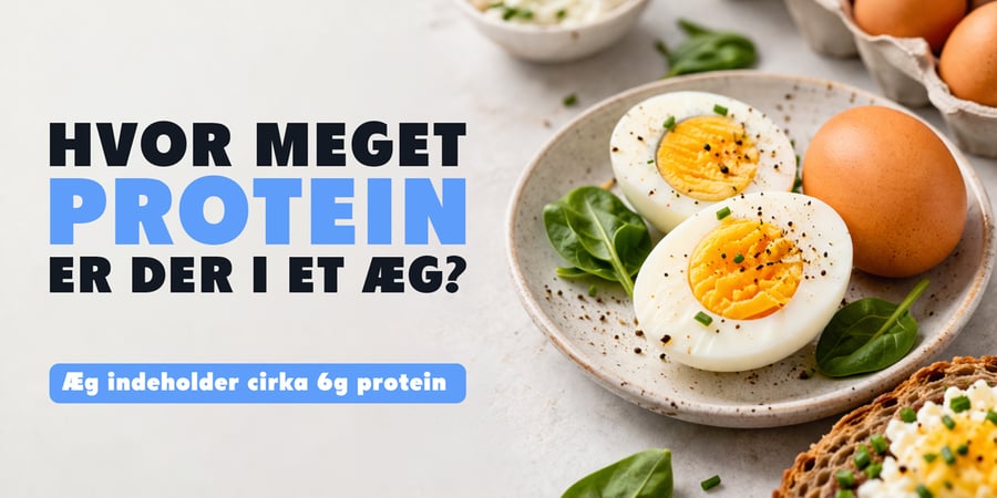 Hvor meget protein er der i et æg?
