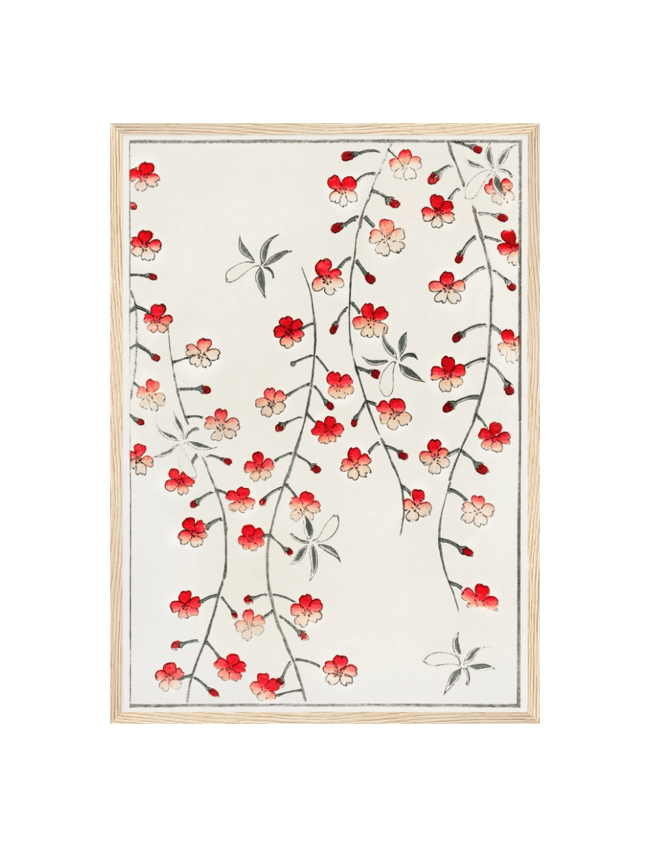 Cherry blossom - Shin Bijutsukai