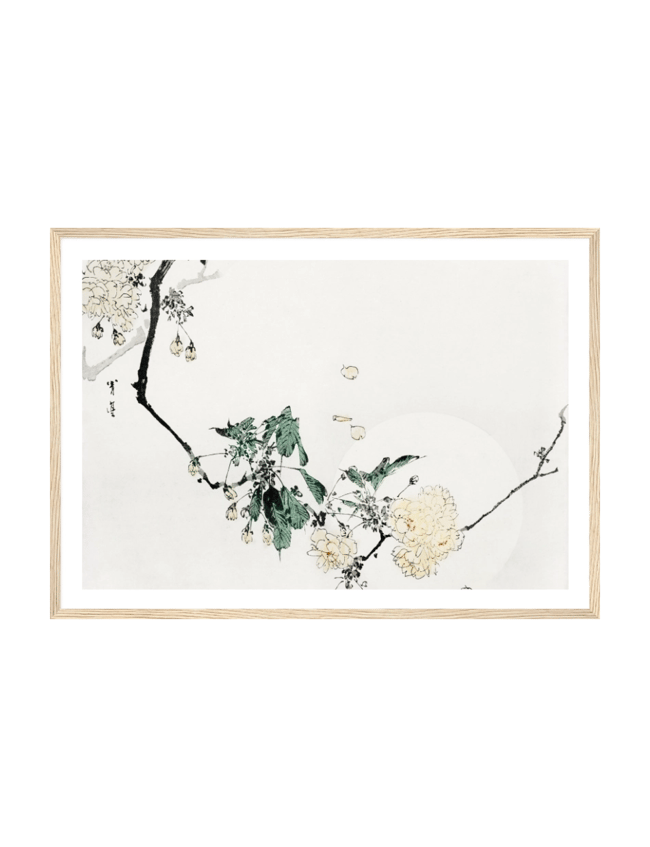 Cherry Blossom - Taguchi Tomoki