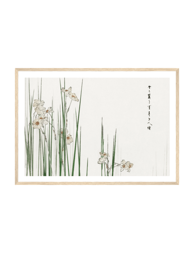 Jonquil Illustration - Taguchi Tomoki