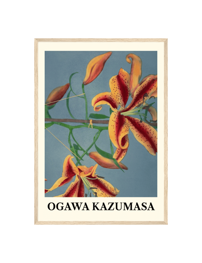 Lily Hand Colored - Ogawa Kazumasa