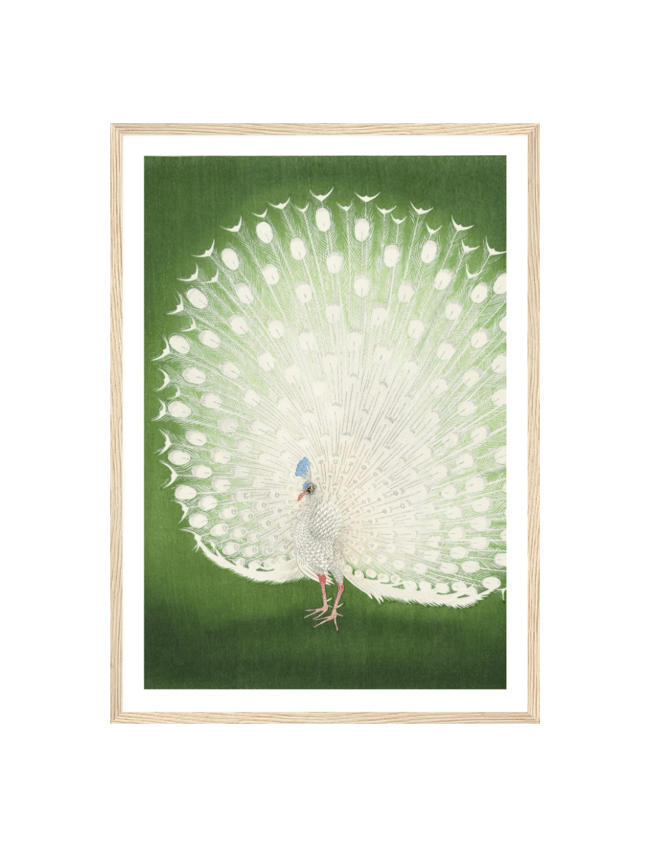 Peacock - Ohara Koson