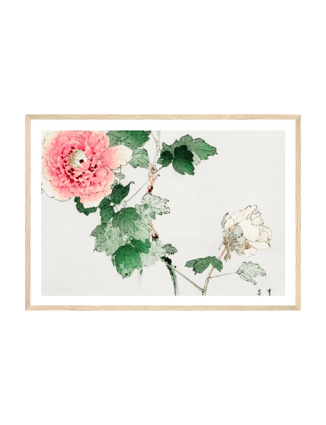 Tree Peony - Taguchi Tomoki