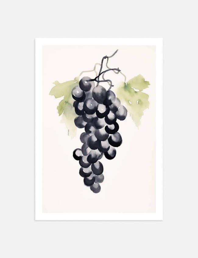 A Watercolor Study of Grapes