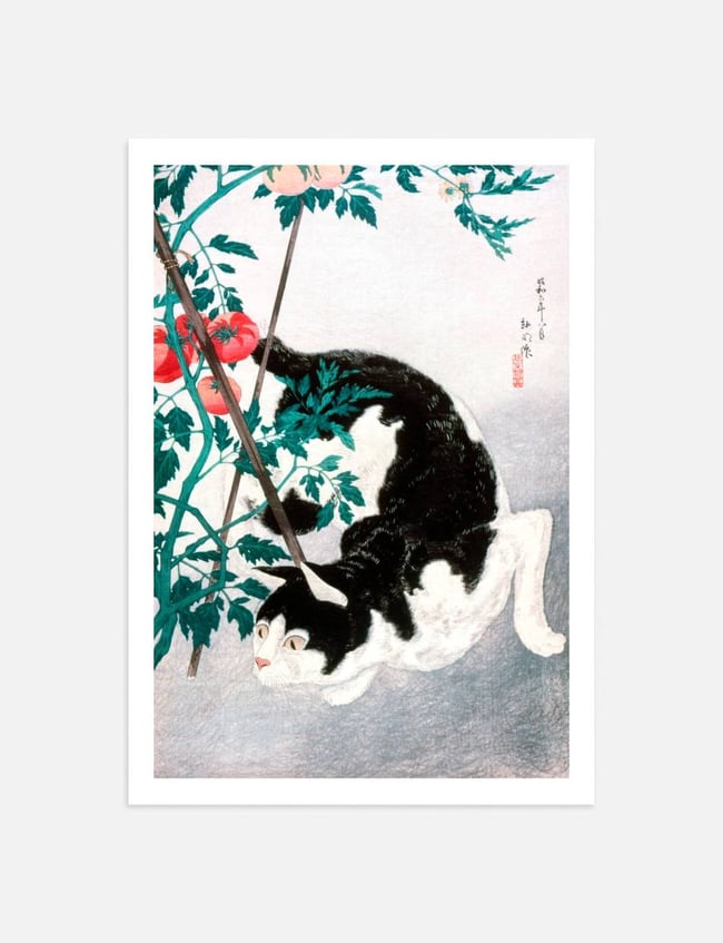 Cat with Tomato Plant - Hiroaki Takahashi