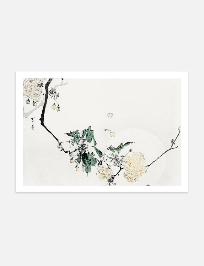 Cherry Blossom - Taguchi Tomoki