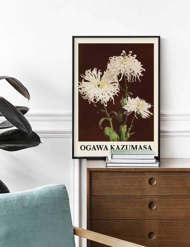 Chrysanthemum - Ogawa Kazumasa