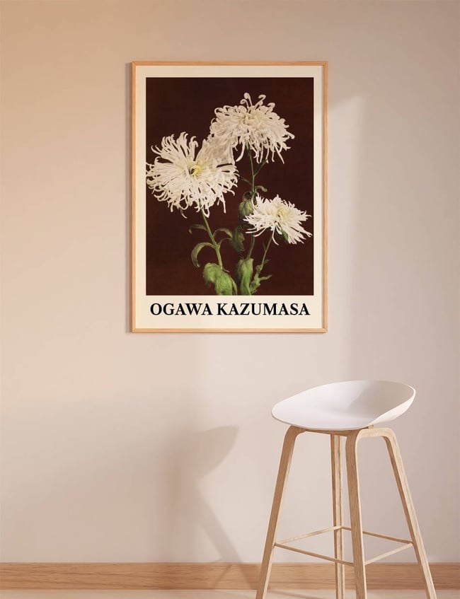 Chrysanthemum - Ogawa Kazumasa