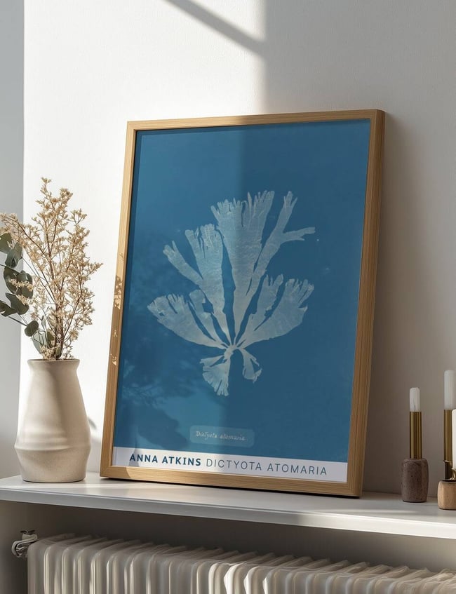Dictyota Atomaria - Anna Atkins