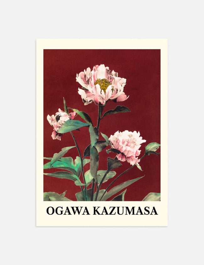 Hærdaceous Peony - Ogawa Kazumasa