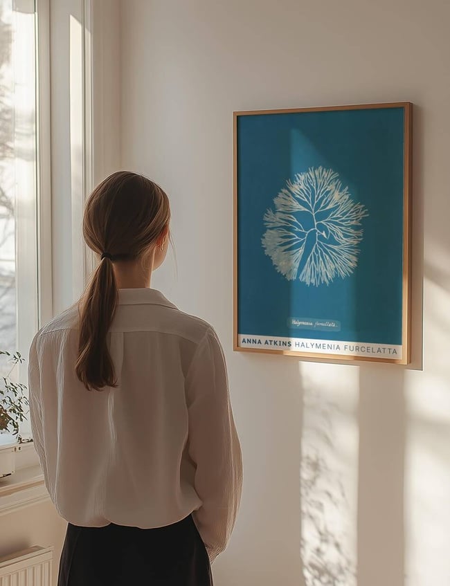Halymenia Furcelatta - Anna Atkins