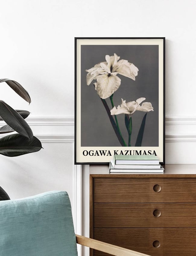 Iris Kæmpferi - Ogawa Kazumasa
