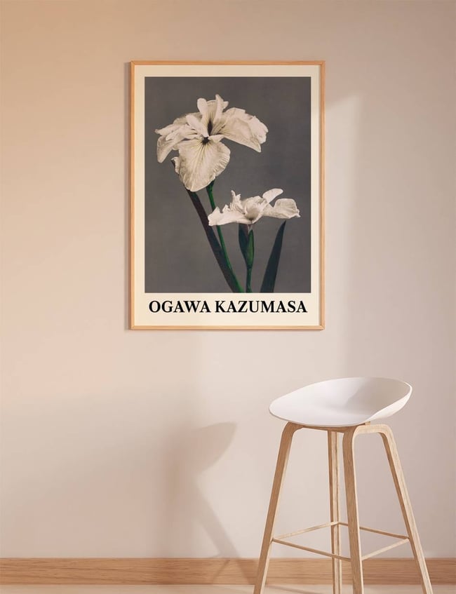 Iris Kæmpferi - Ogawa Kazumasa