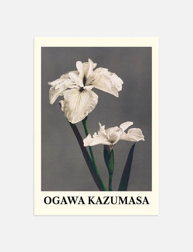 Iris Kæmpferi - Ogawa Kazumasa