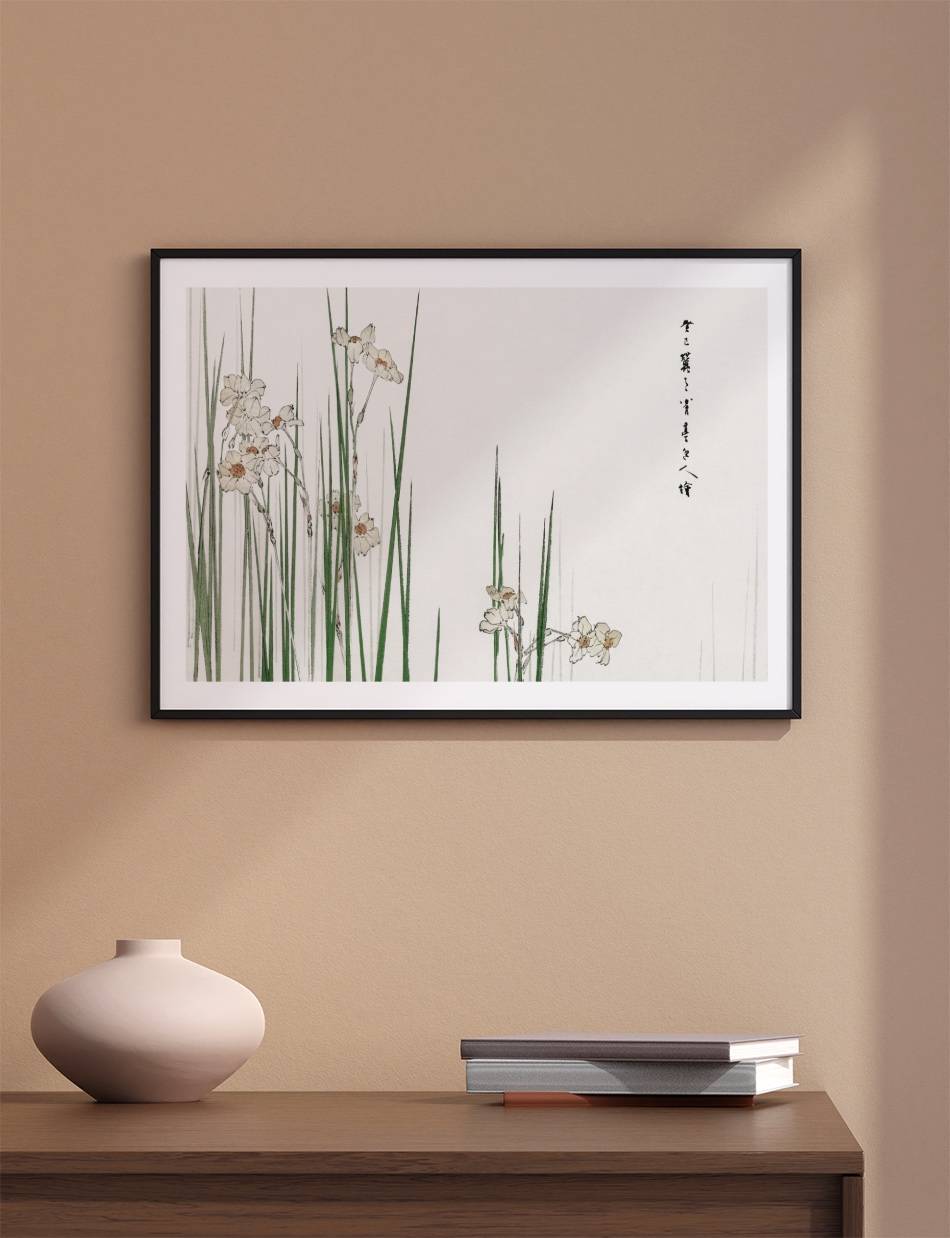 Jonquil Illustration - Taguchi Tomoki