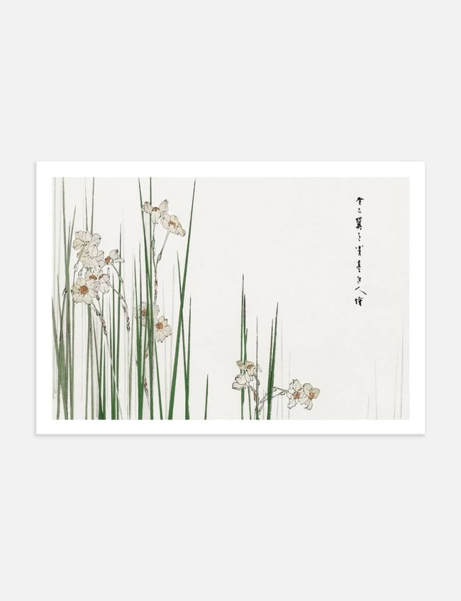 Jonquil Illustration - Taguchi Tomoki